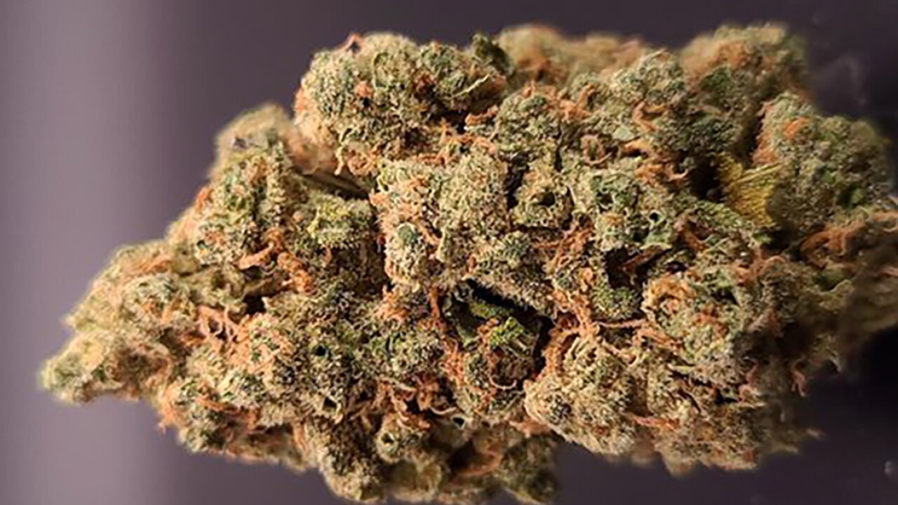 The Best Deals on THCA Flower Bulk Orders